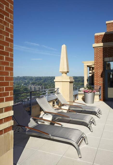 Bright And Cozy Apartment Near Pentagon City 阿林顿 外观 照片