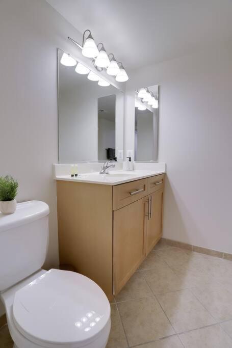 Bright And Cozy Apartment Near Pentagon City 阿林顿 外观 照片