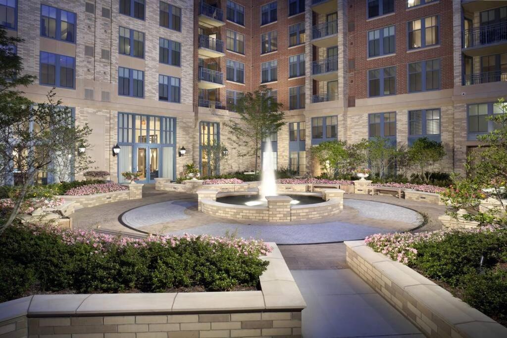 Bright And Cozy Apartment Near Pentagon City 阿林顿 外观 照片