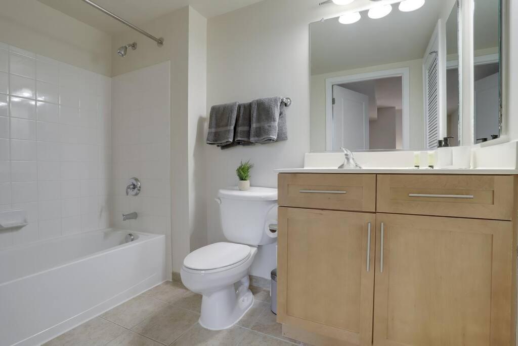 Bright And Cozy Apartment Near Pentagon City 阿林顿 外观 照片