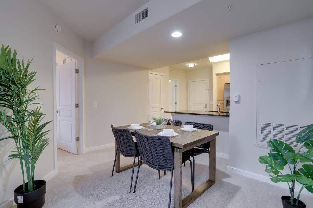Bright And Cozy Apartment Near Pentagon City 阿林顿 外观 照片