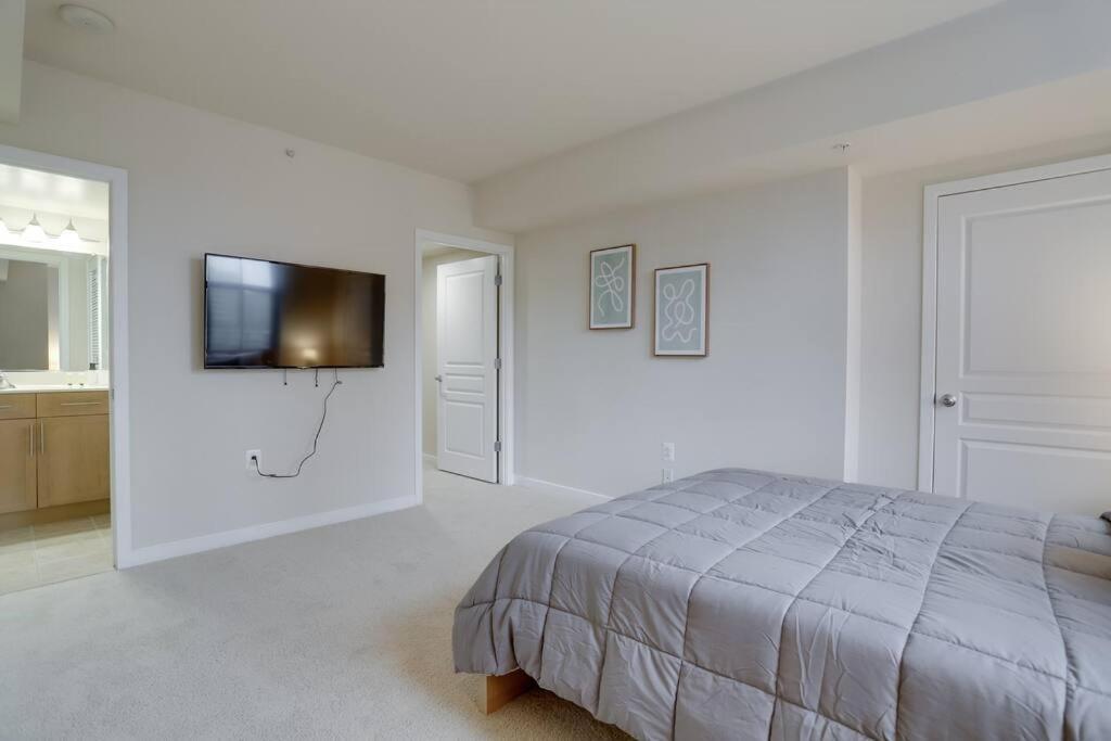 Bright And Cozy Apartment Near Pentagon City 阿林顿 外观 照片