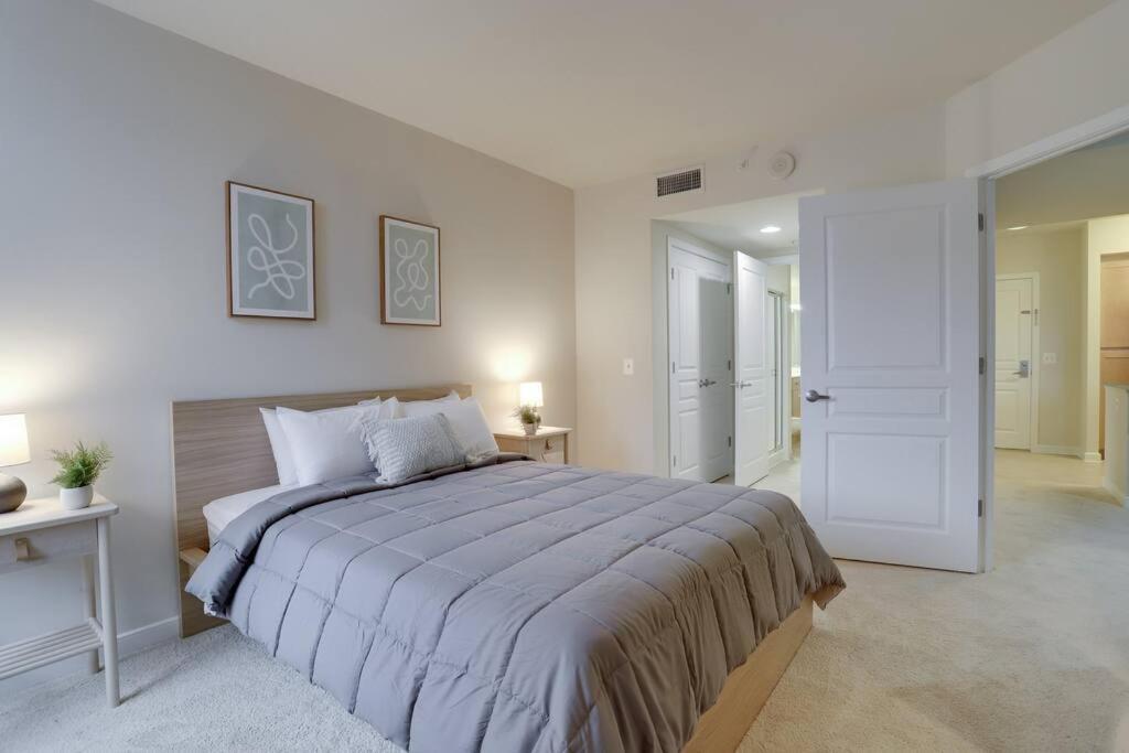 Bright And Cozy Apartment Near Pentagon City 阿林顿 外观 照片